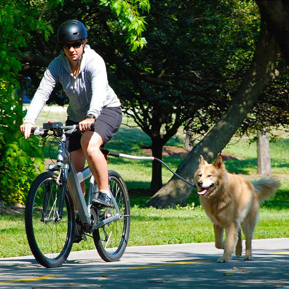 RYDER - Barre Cani Bike pour balade, vélo et trottinette