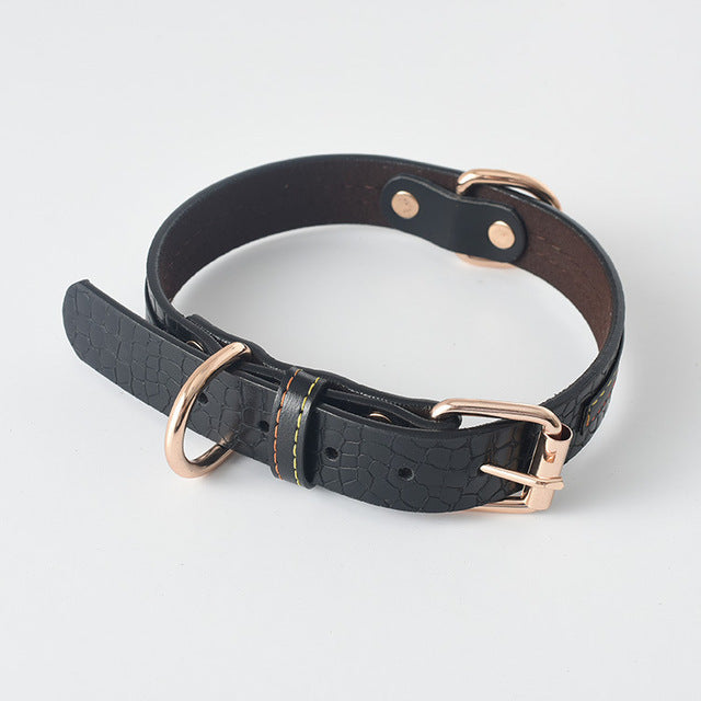 GRAINY - Collier en cuir pour moyens et grands chiens