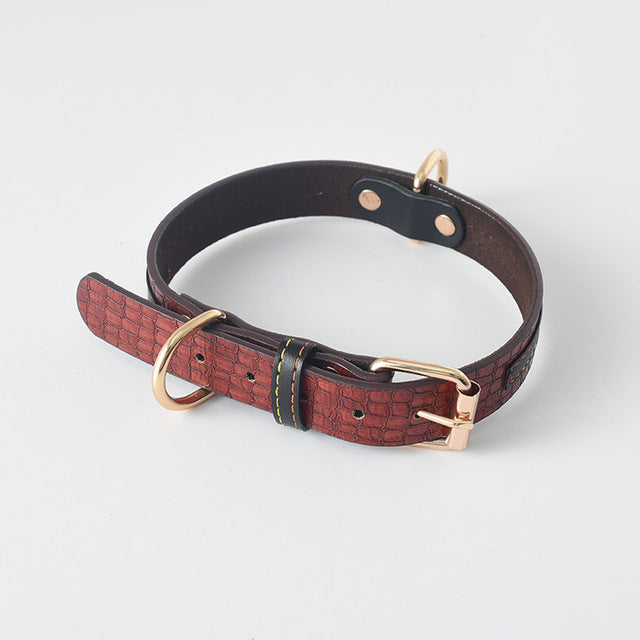 GRAINY - Collier en cuir pour moyens et grands chiens