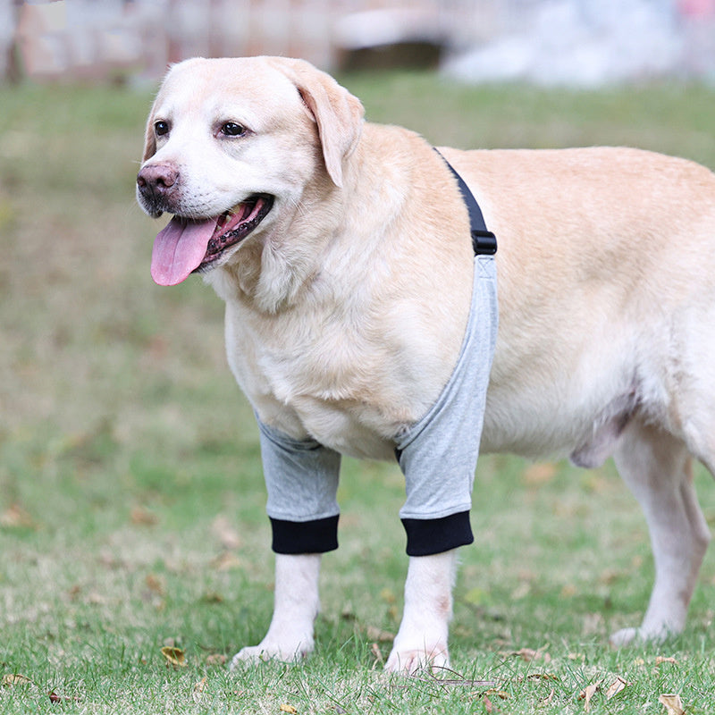 HEAL - protection pour les pattes avant en coton