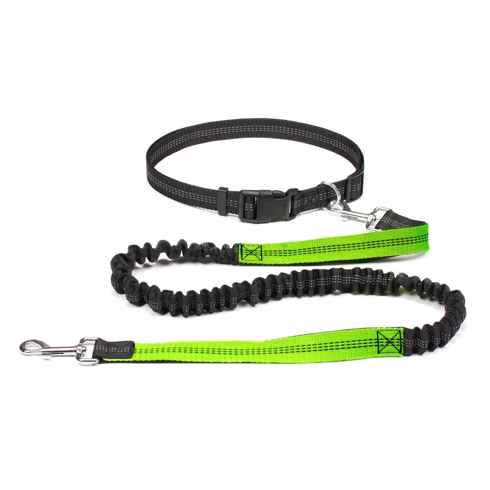 JOGGER - Set laisse mains libres avec ceinture ajustable