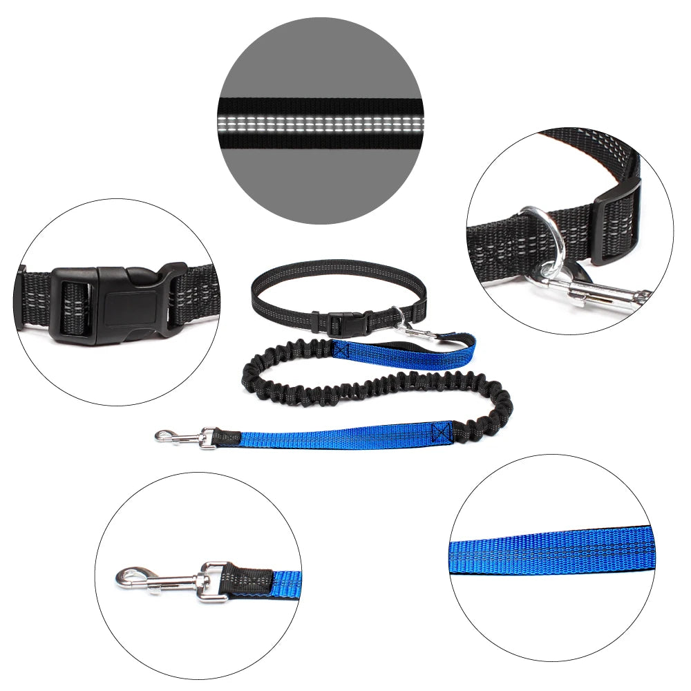 JOGGER - Set laisse mains libres avec ceinture ajustable