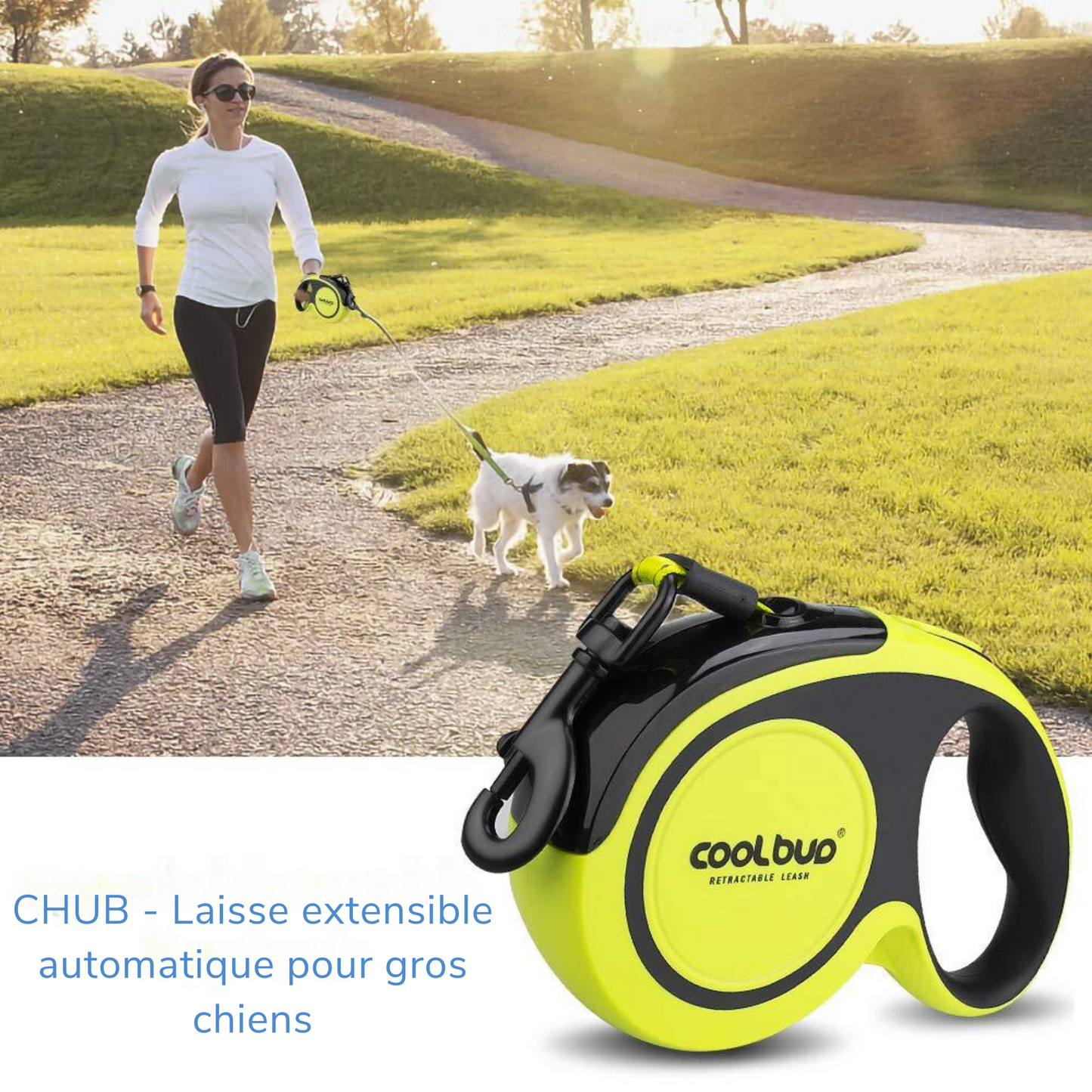 CHUB - Laisse extensible automatique pour gros chiens