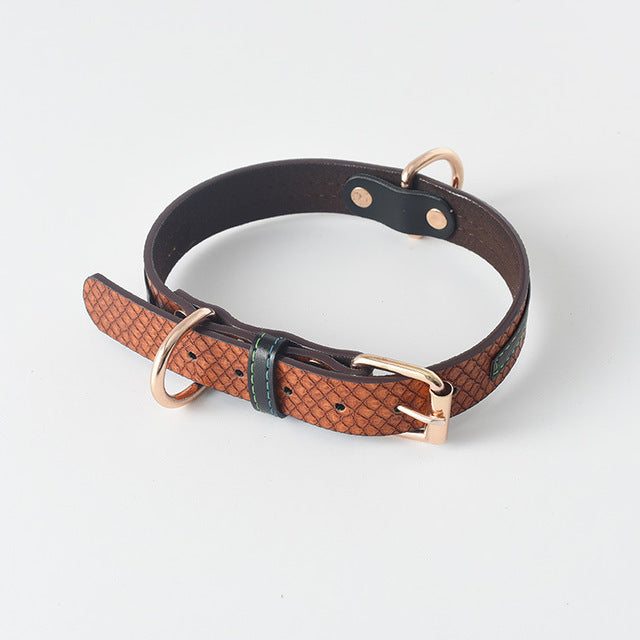 GRAINY - Collier en cuir pour moyens et grands chiens