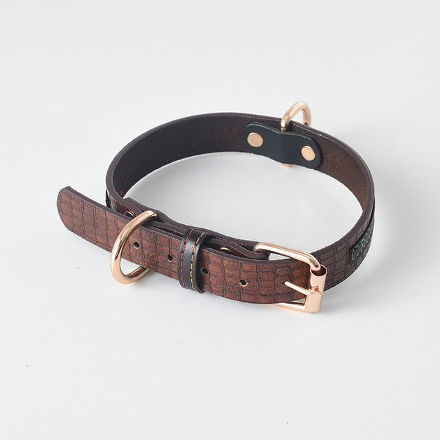 GRAINY - Collier en cuir pour moyens et grands chiens